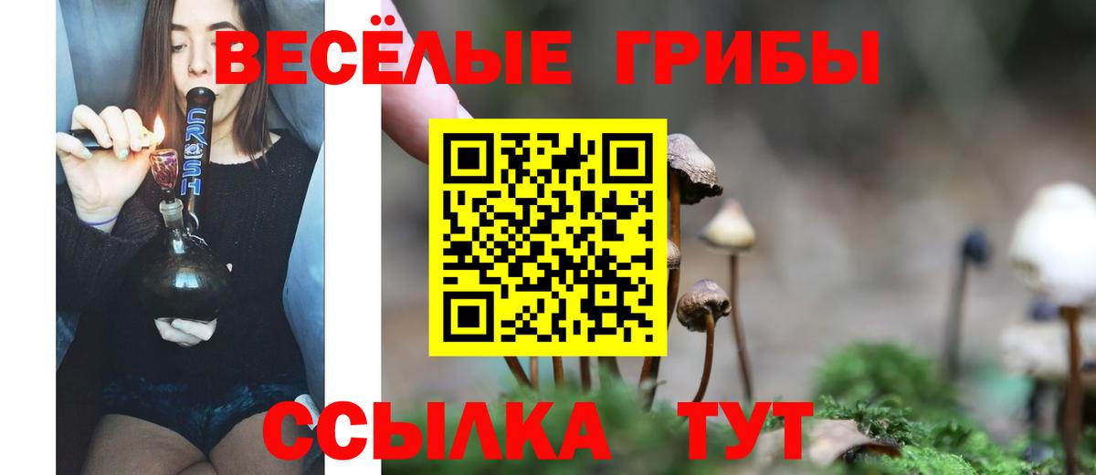 что такое   Галлюциногенные грибы GOLDEN TEACHER  Кондопога  Вход с VPN  Псилоцибиновые грибы Magic Shrooms 