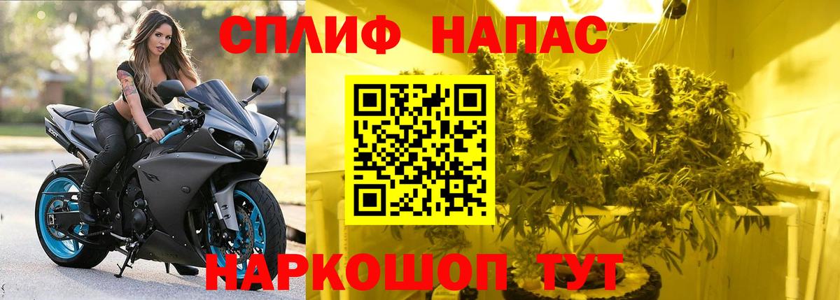 Каннабис White Widow Кондопога